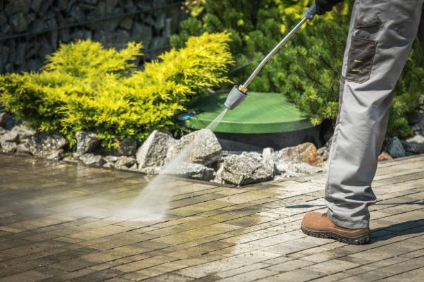 Best Patio and Deck Pressure Washing  in Mission, TX