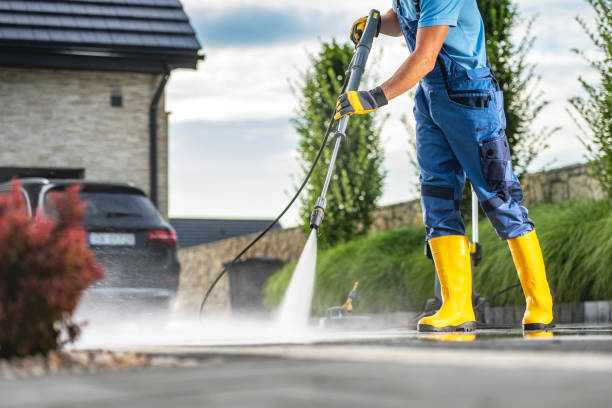 Best Sidewalk and Walkway Cleaning  in Mission, TX